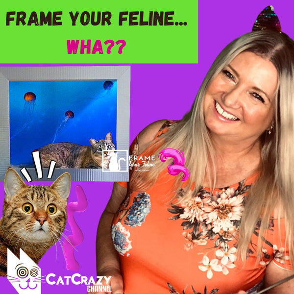 Frame Your Feline: A Purrfect Way to Showcase Your Cat as Living Art!