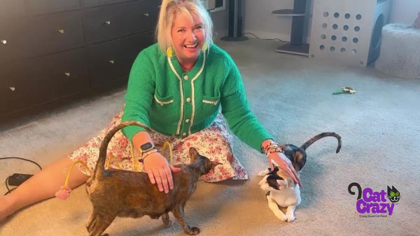 From Heartbreak to Hope: The Journey That Sparked CatCrazy and Crazy Good Cat Food