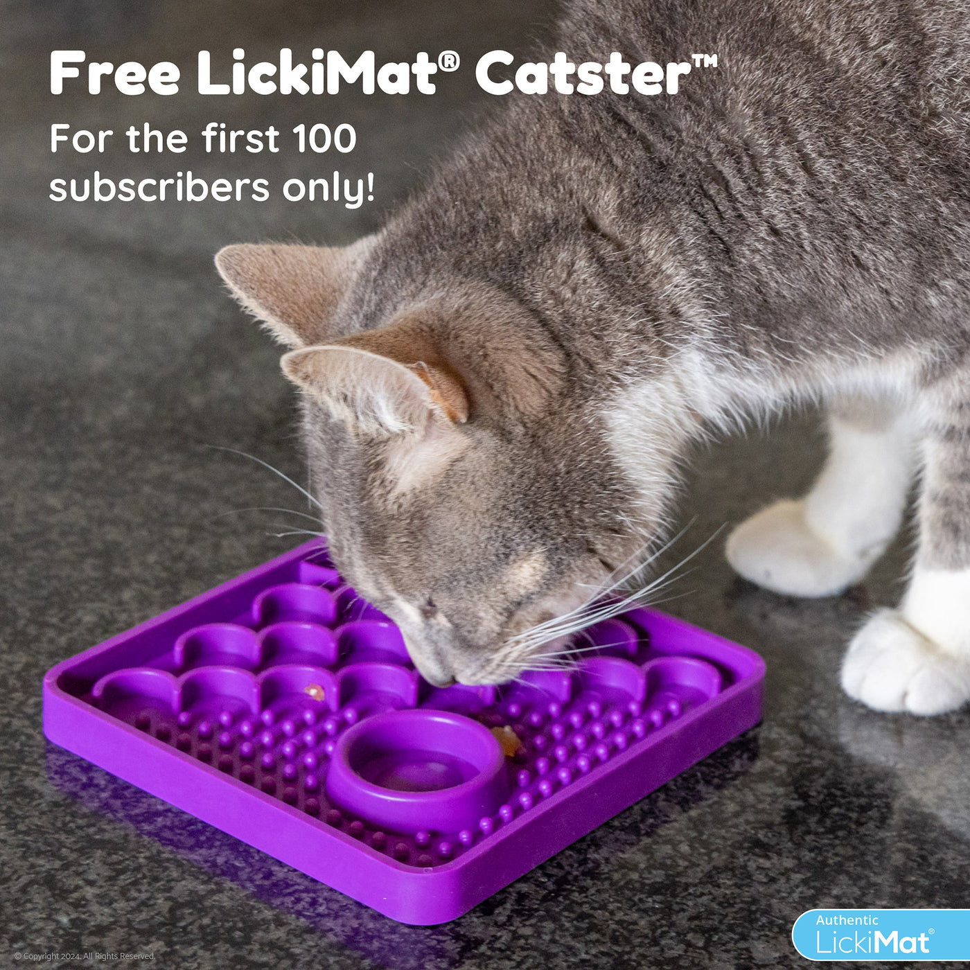 Crazy Good Cat Food