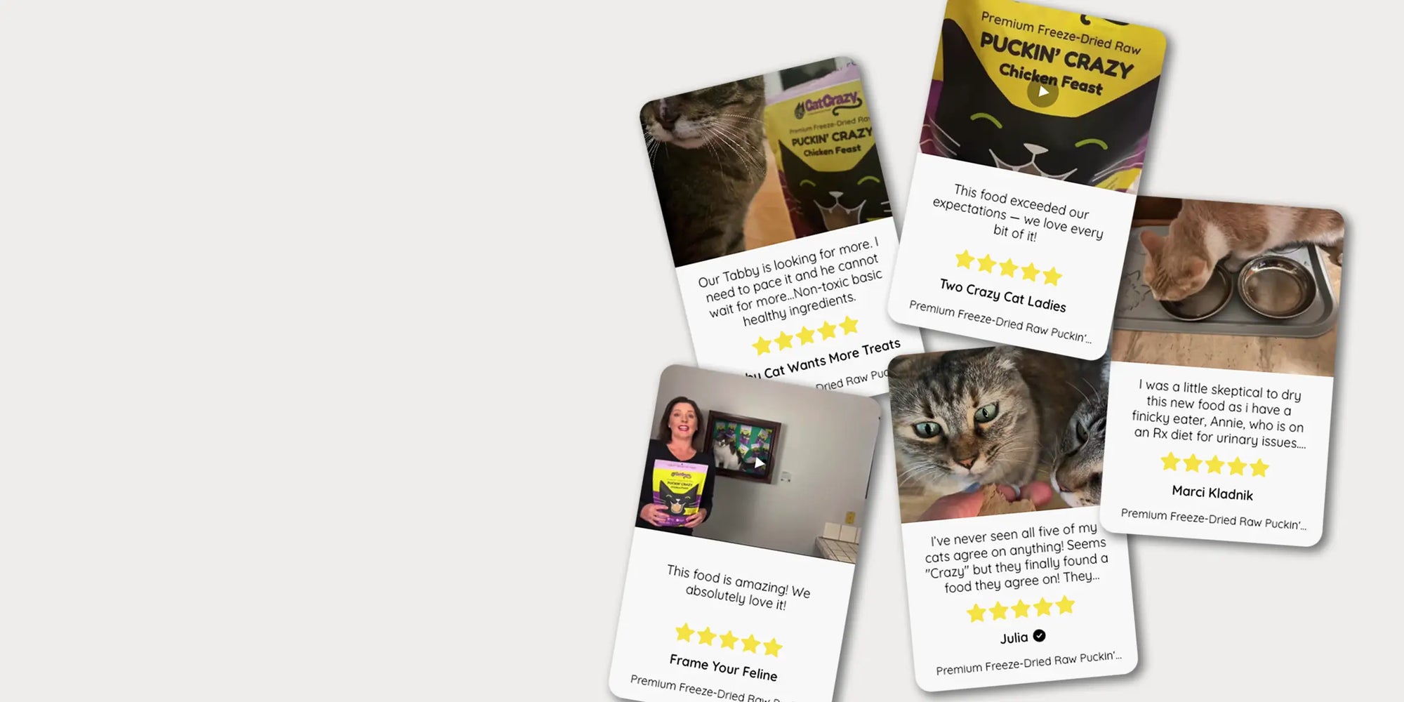 Set of cards with cat-themed content and reviews on a white background
